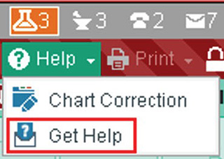epic how to get help button